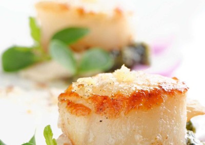 Seared scallops over mache greens.