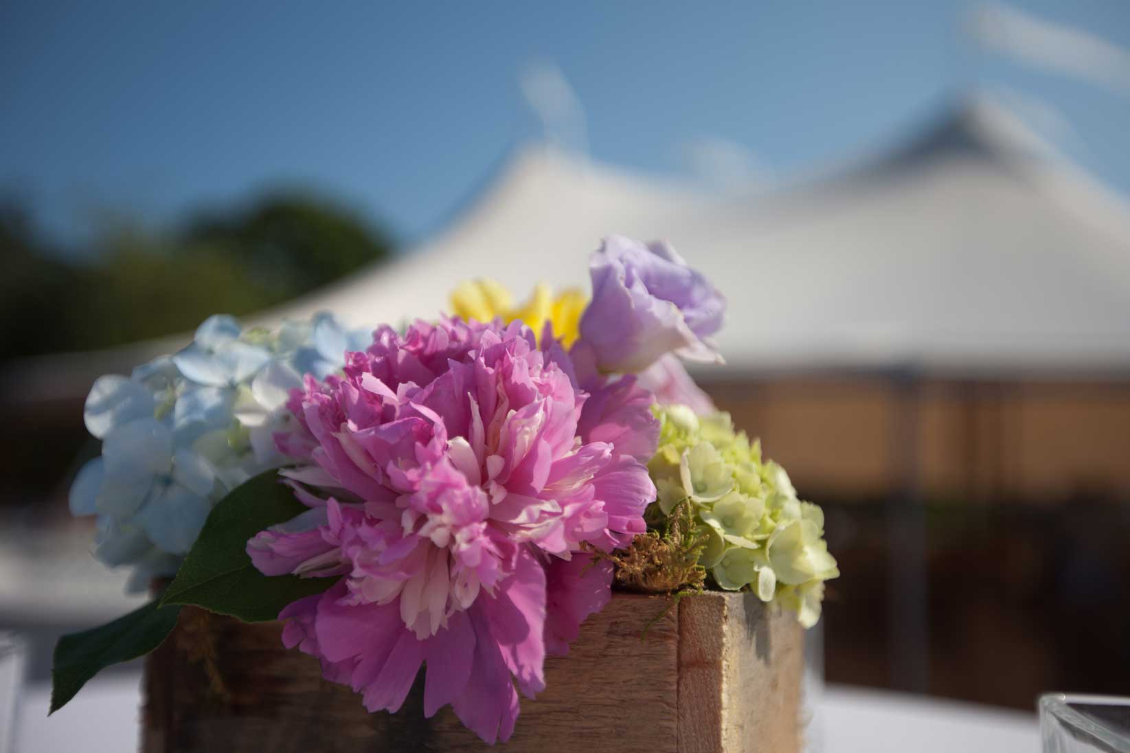 Peonies and Hydrangea adorn the outside tables of a Cape Elizabeth, Maine wedding. www.churchillevents.com